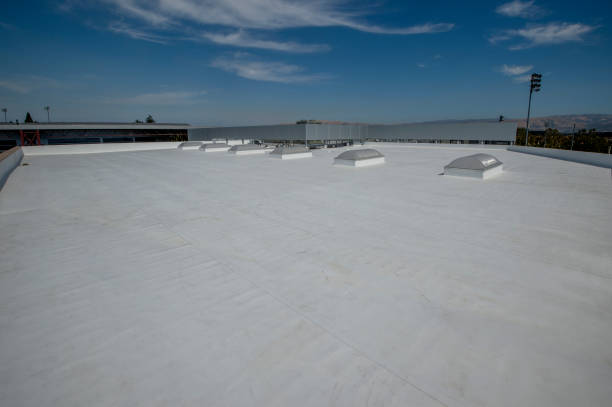 Roof Coating Services in Altoona, IA