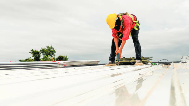 Best Metal Roofing Installation  in Altoona, IA