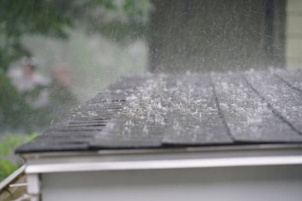 Best Roof Insulation Installation  in Altoona, IA