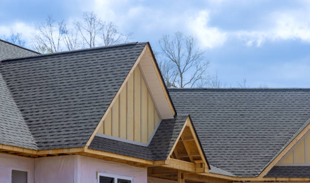 Best Chimney Flashing Repair  in Altoona, IA