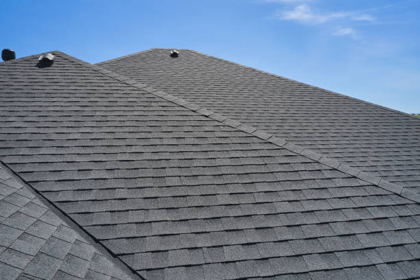 Best Solar Panel Roofing Installation  in Altoona, IA
