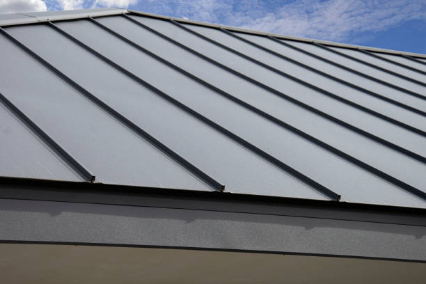 Best Roof Maintenance and Cleaning  in Altoona, IA